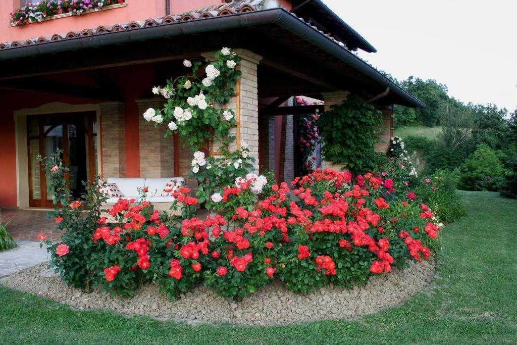 Agriturismo La Rosa Tea Villa Urbania Ngoại thất bức ảnh