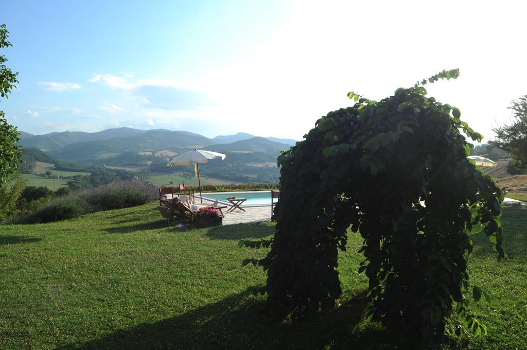 Agriturismo La Rosa Tea Villa Urbania Ngoại thất bức ảnh